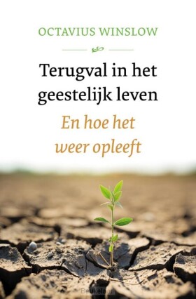 terugval-in-het-geestelijk-leven
