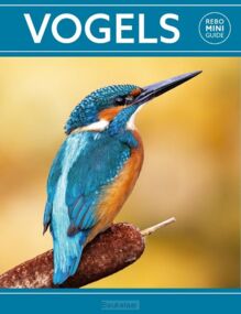 vogels