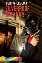 zilverroof-in-zadar-ing