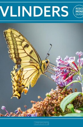 vlinders