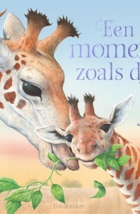 een-moment-zoals-dit