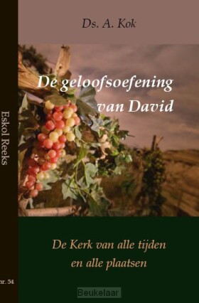 geloofsoefening-van-david