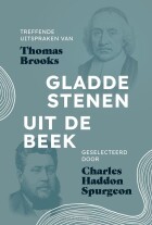 gladde-stenen-uit-de-beek