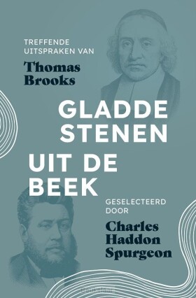 gladde-stenen-uit-de-beek