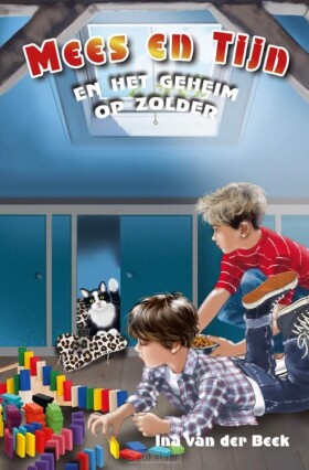 mees-en-tijn-en-het-geheim-op-zolder