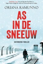as-in-de-sneeuw