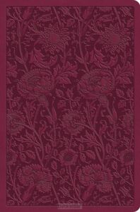 esv-value-compact-bible