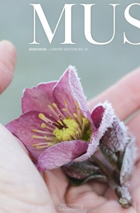 mus-limited-edition-no-12-geschenk